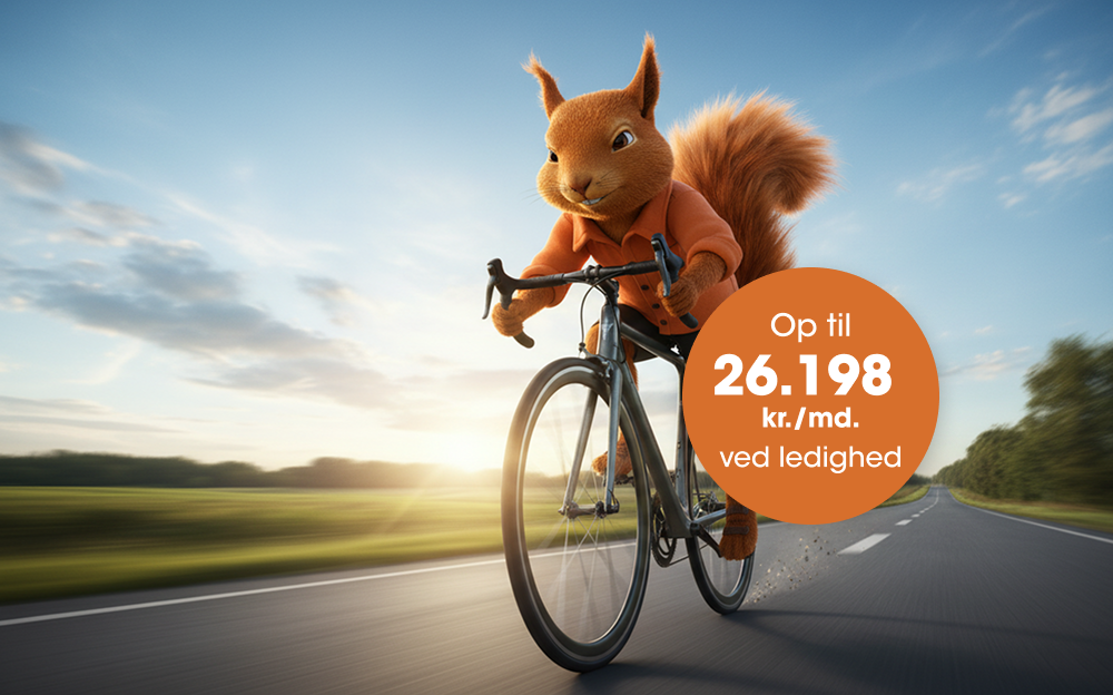 Den Selvkørende Splat Detailpage